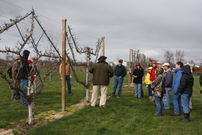 Winter Field Day - Espalier class