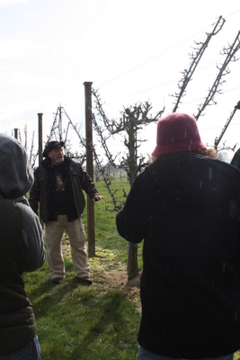 Winter Field Day - Espalier class
