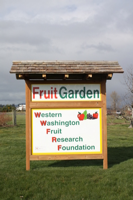Winter Field Day - Sunny times