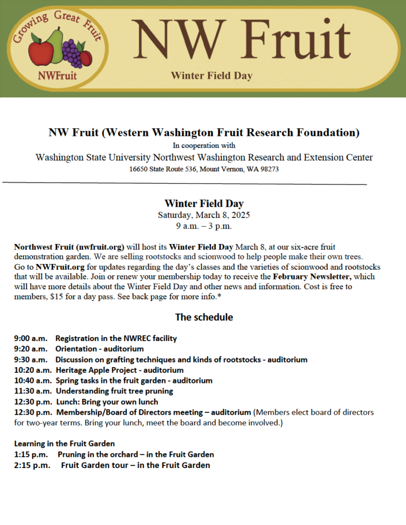 Screenshot of Winter Field Day Flyer Page 1